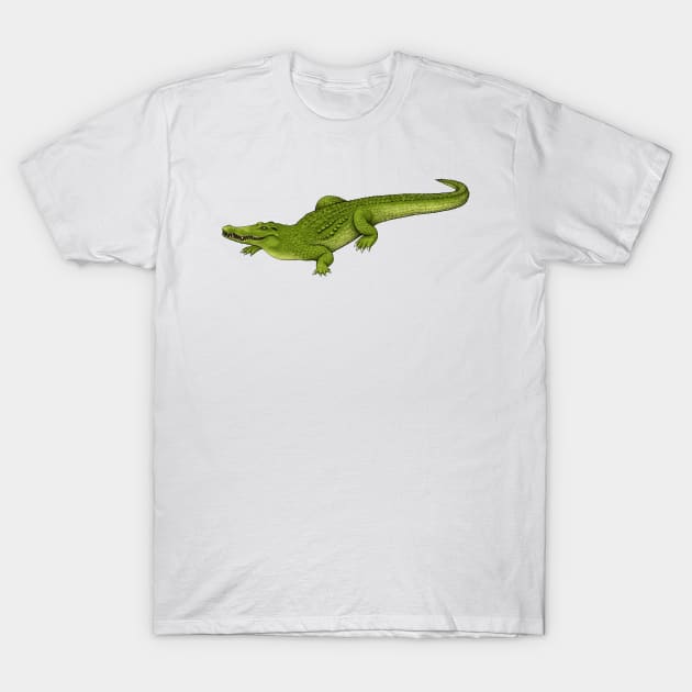 Crocodile T-Shirt by Akman